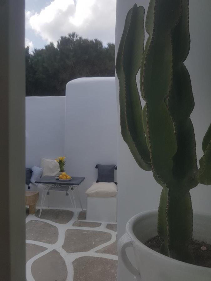 Drafaki Cassaris Mykonos 빌라 외부 사진