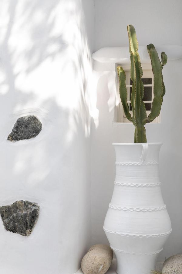 Drafaki Cassaris Mykonos 빌라 외부 사진