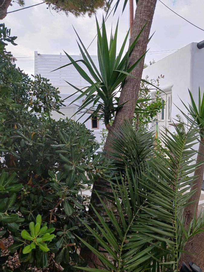 Drafaki Cassaris Mykonos 빌라 외부 사진