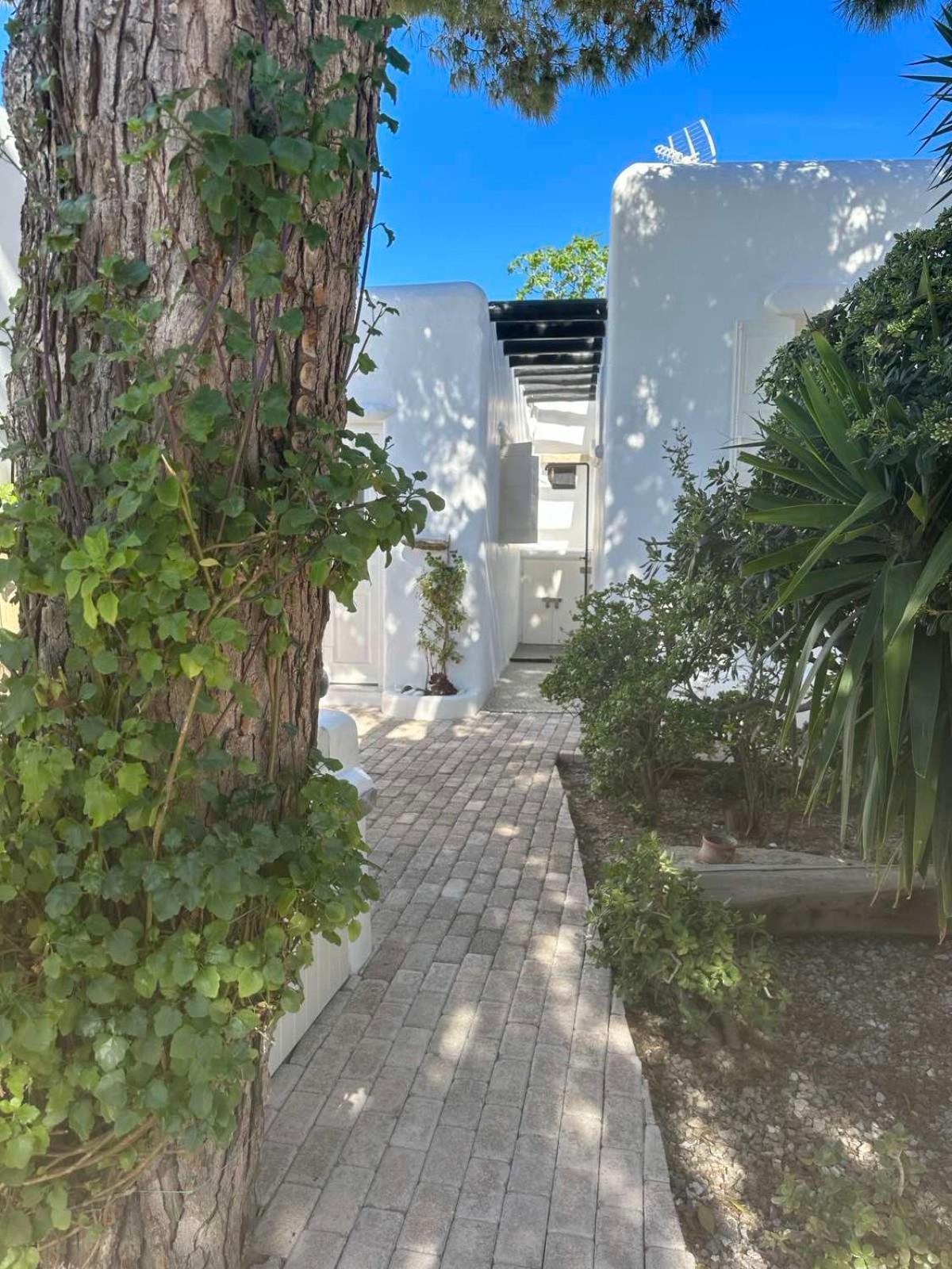 Drafaki Cassaris Mykonos 빌라 외부 사진