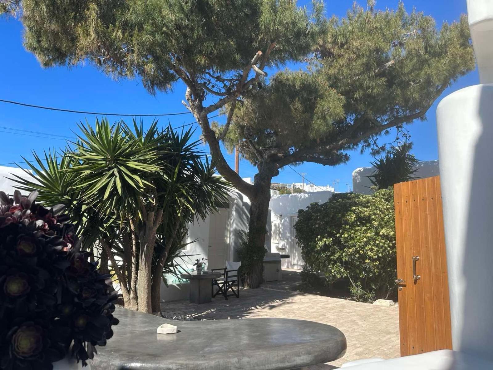 Drafaki Cassaris Mykonos 빌라 외부 사진